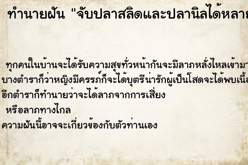 ทำนายฝันจับปลาสลิดและปลานิลได้หลายตัว ทำนายฝันทำนายฝันจับปลาสลิดและปลานิลได้หลายตัว