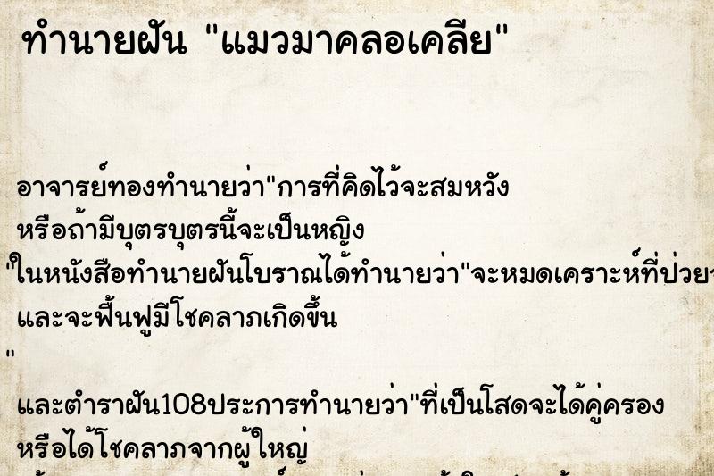 ทำนายฝัน แมวมาคลอเคลีย ทำนายฝัน แมวมาคลอเคลีย