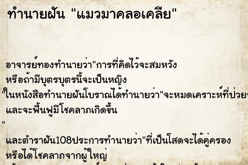 ทำนายฝัน แมวมาคลอเคลีย ตำราโบราณ แม่นที่สุดในโลก