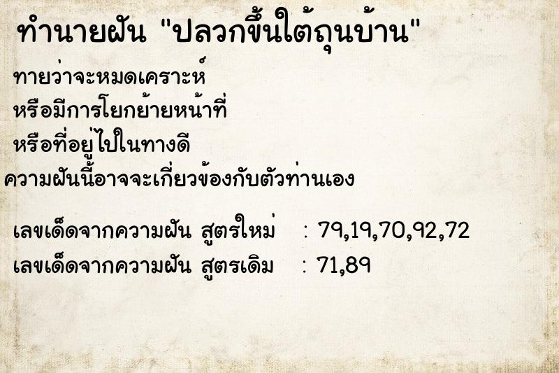 ทำนายฝันทำนายฝันปลวกขึ้นใต้ถุนบ้าน