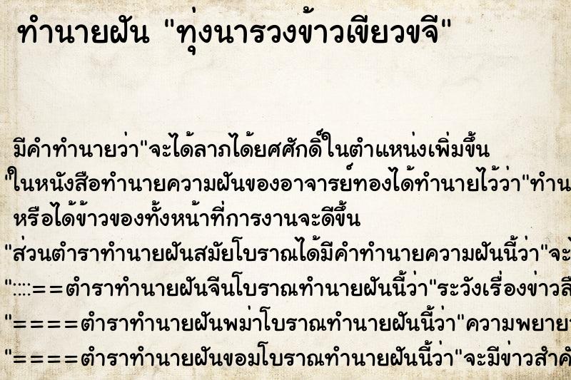 ทำนายฝัน ทุ่งนารวงข้าวเขียวขจี ทำนายฝัน ทุ่งนารวงข้าวเขียวขจี