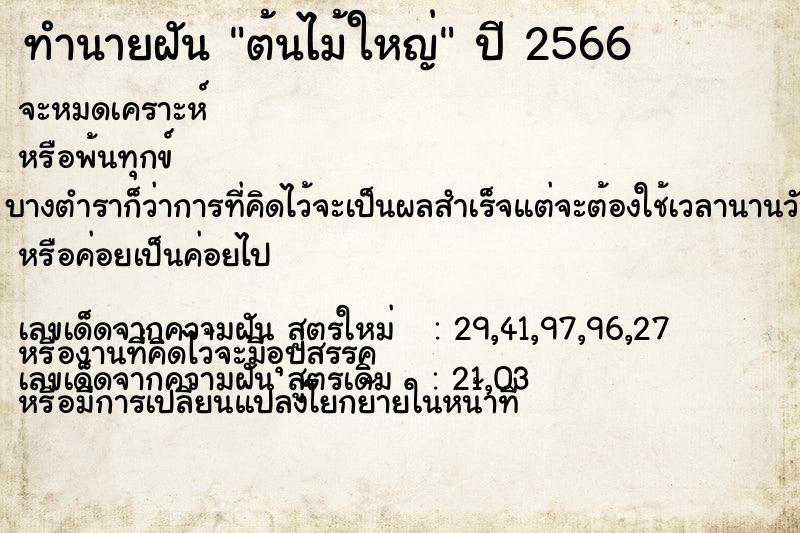 ทำนายฝัน ต้นไม้ใหญ่