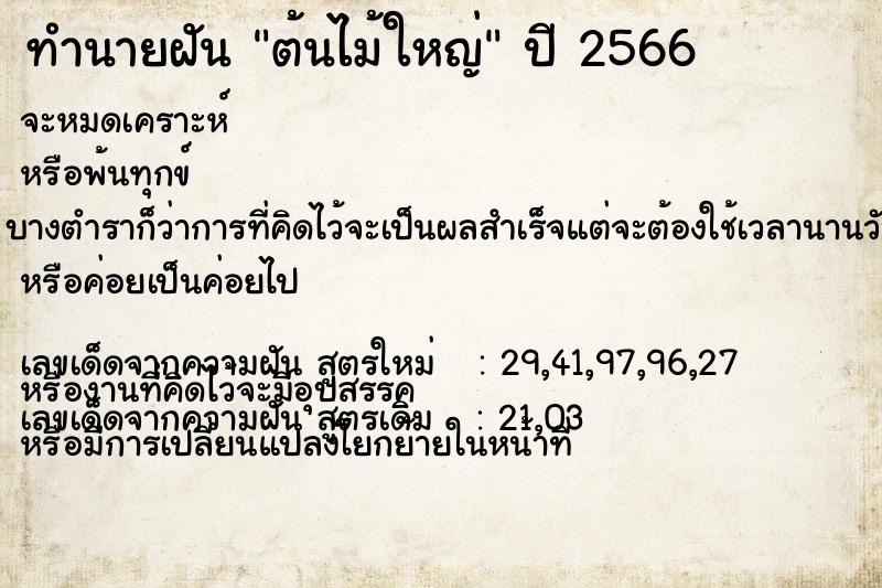 ทำนายฝัน ต้นไม้ใหญ่ ตำราโบราณ แม่นที่สุดในโลก