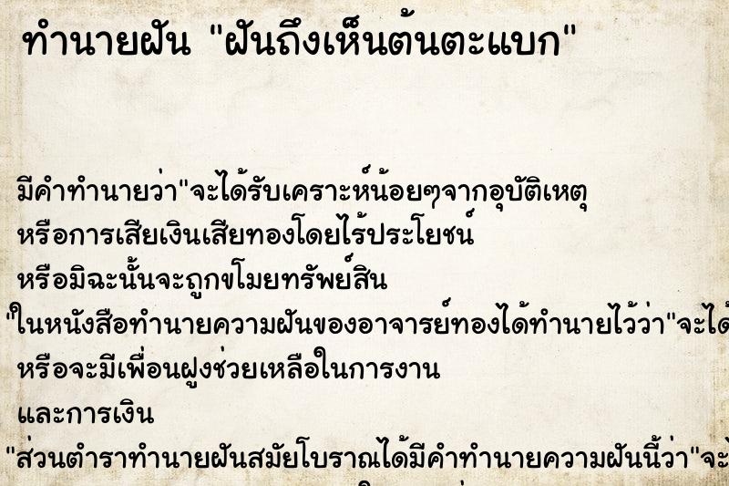 ทำนายฝันฝันถึงเห็นต้นตะแบก ทำนายฝันทำนายฝันฝันถึงเห็นต้นตะแบก