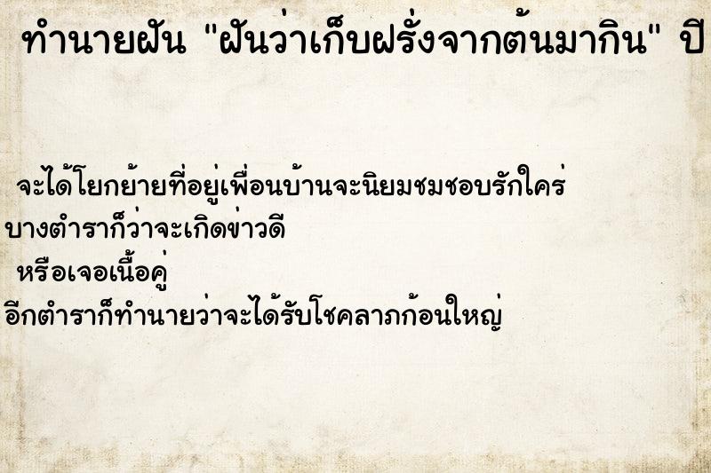 ทำนายฝัน ฝันว่าเก็บฝรั่งจากต้นมากิน ทำนายฝัน ฝันว่าเก็บฝรั่งจากต้นมากิน