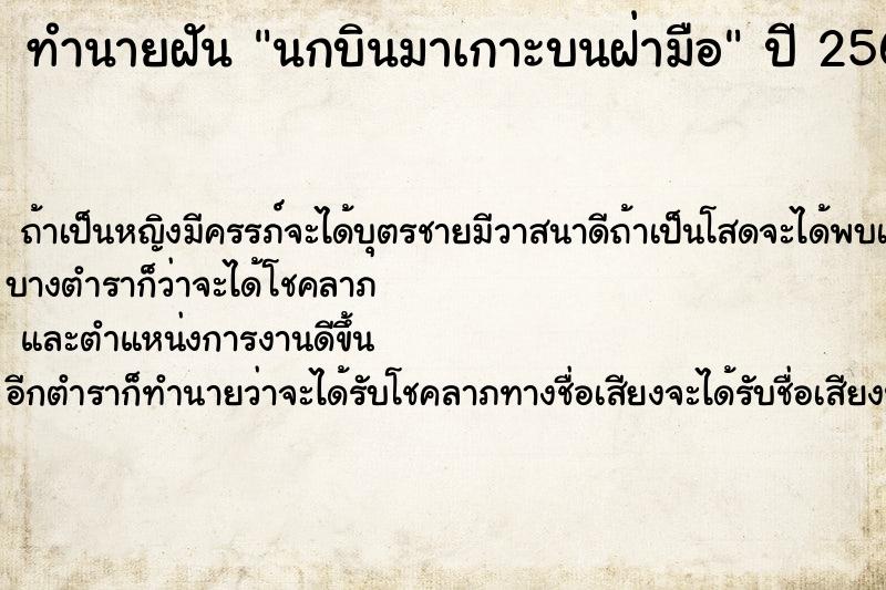 ทำนายฝันนกบินมาเกาะบนฝ่ามือ ทำนายฝันทำนายฝันนกบินมาเกาะบนฝ่ามือ