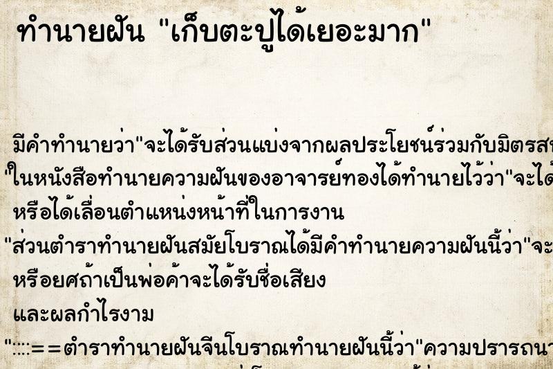 ทำนายฝัน เก็บตะปูได้เยอะมาก ทำนายฝัน เก็บตะปูได้เยอะมาก