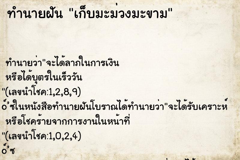 ทำนายฝันทำนายฝันเก็บมะม่วงมะขาม