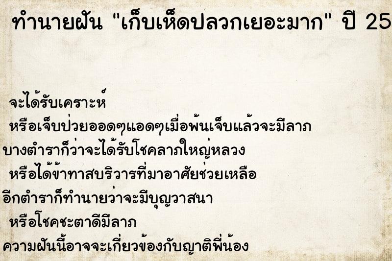 ทำนายฝันเก็บเห็ดปลวกเยอะมาก ทำนายฝันทำนายฝันเก็บเห็ดปลวกเยอะมาก