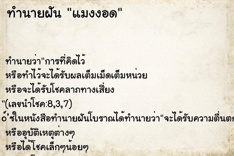 ทำนายฝัน แมงงอด ทำนายฝัน แมงงอด