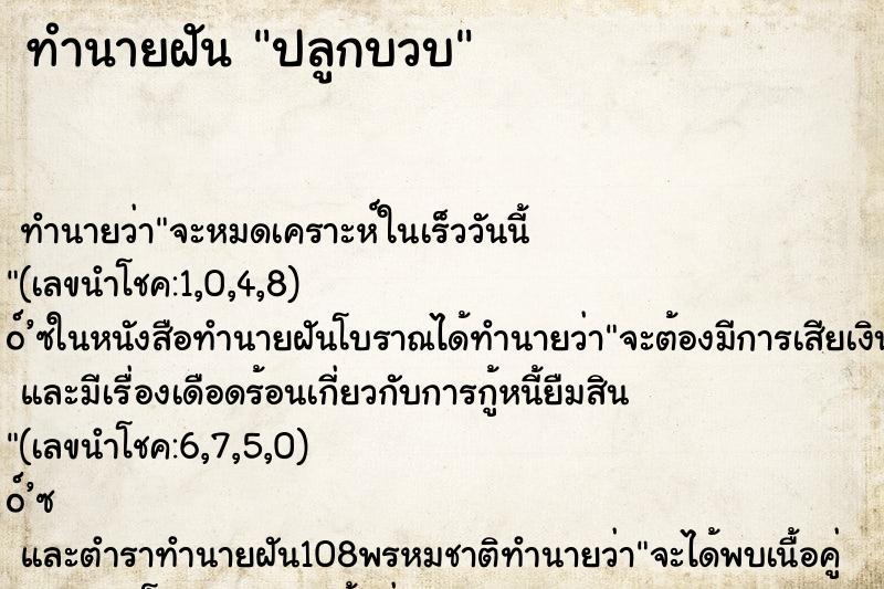 ทำนายฝันปลูกบวบ ทำนายฝันทำนายฝันปลูกบวบ