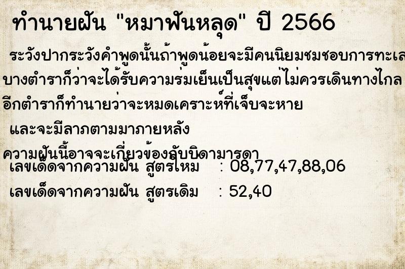 ทำนายฝัน หมาฟันหลุด ตำราโบราณ แม่นที่สุดในโลก