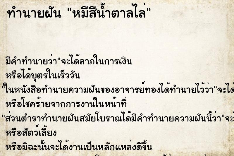 ทำนายฝันทำนายฝันหมีสีน้ําตาลไล่