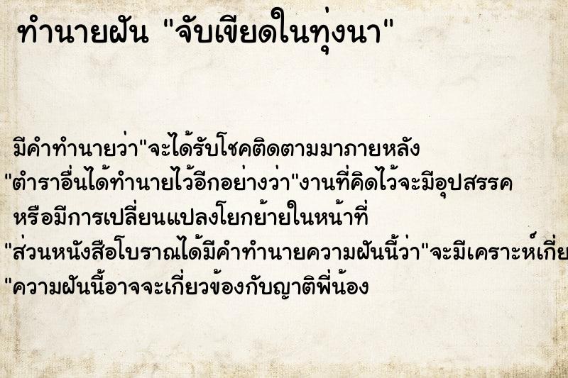 ทำนายฝัน จับเขียดในทุ่งนา ทำนายฝัน จับเขียดในทุ่งนา