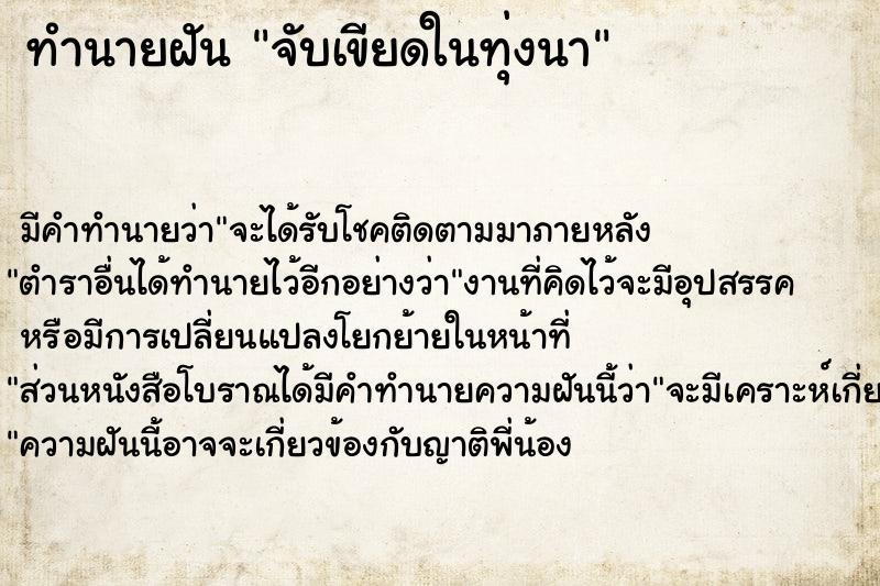 ทำนายฝัน จับเขียดในทุ่งนา ตำราโบราณ แม่นที่สุดในโลก