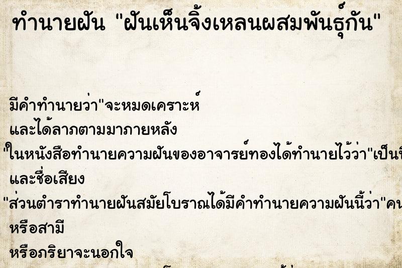ทำนายฝัน ฝันเห็นจิ้งเหลนผสมพันธุ์กัน ทำนายฝัน ฝันเห็นจิ้งเหลนผสมพันธุ์กัน