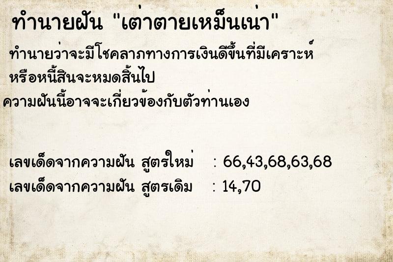 ทำนายฝัน เต่าตายเหม็นเน่า ทำนายฝัน เต่าตายเหม็นเน่า