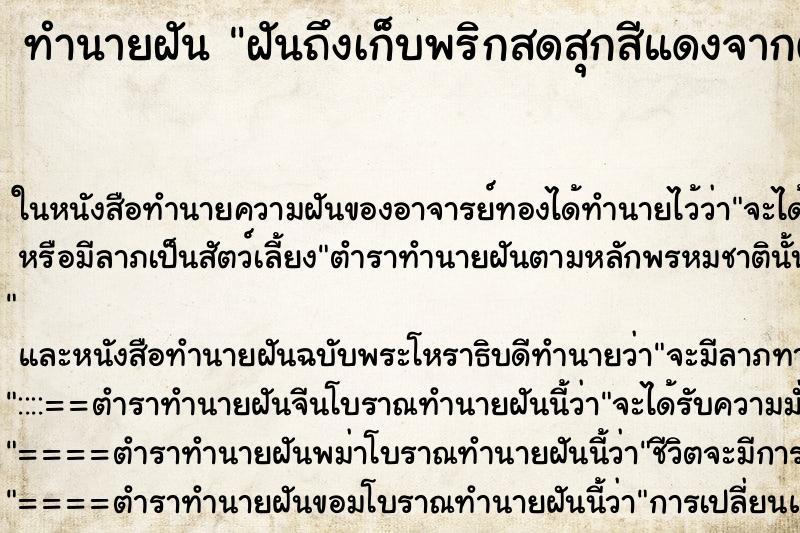 ทำนายฝัน ฝันถึงเก็บพริกสดสุกสีแดงจากต้น ทำนายฝัน ฝันถึงเก็บพริกสดสุกสีแดงจากต้น