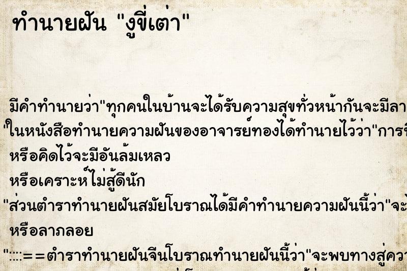 ทำนายฝันงูขี่เต่า ทำนายฝันทำนายฝันงูขี่เต่า