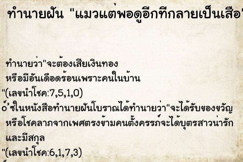 ทำนายฝันทำนายฝันแมวแต่พอดูอีกทีกลายเป็นเสือ