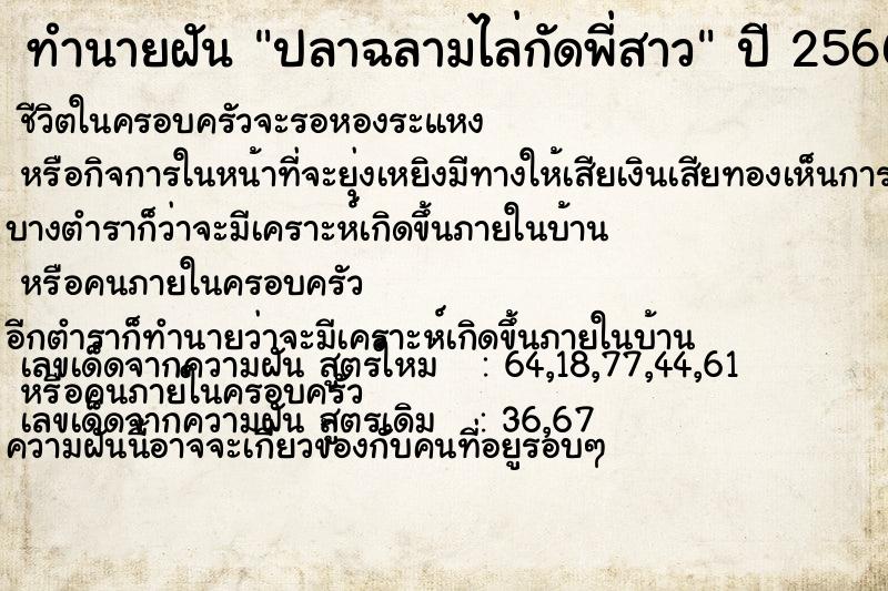 ทำนายฝัน ปลาฉลามไล่กัดพี่สาว ทำนายฝัน ปลาฉลามไล่กัดพี่สาว