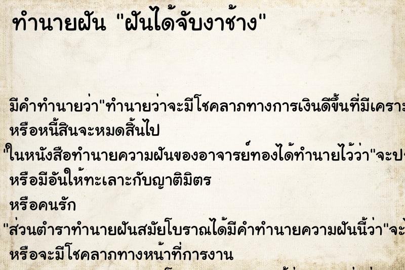 ทำนายฝัน ฝันได้จับงาช้าง ทำนายฝัน ฝันได้จับงาช้าง