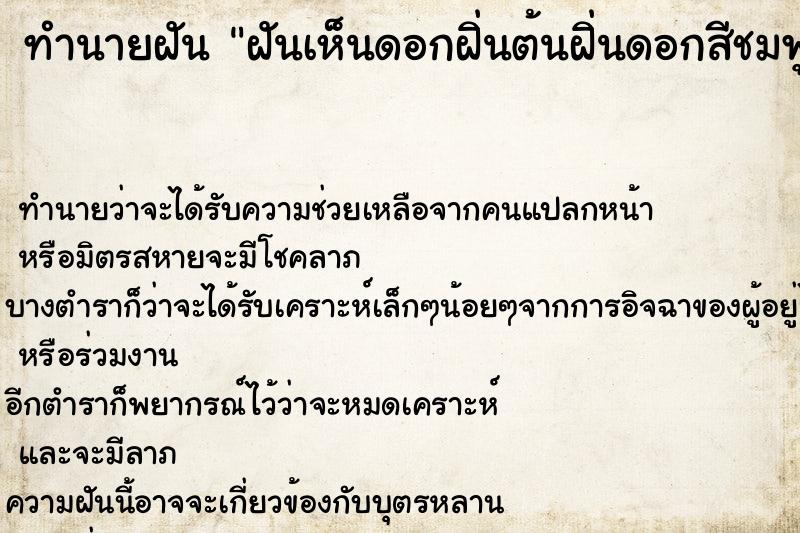 ทำนายฝันทำนายฝันฝันเห็นดอกฝิ่นต้นฝิ่นดอกสีชมพู