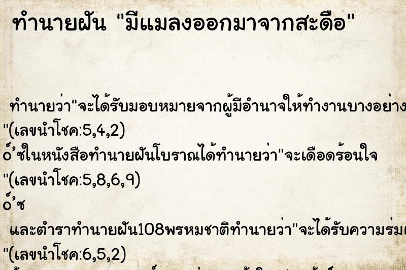 ทำนายฝันมีแมลงออกมาจากสะดือ ทำนายฝันทำนายฝันมีแมลงออกมาจากสะดือ