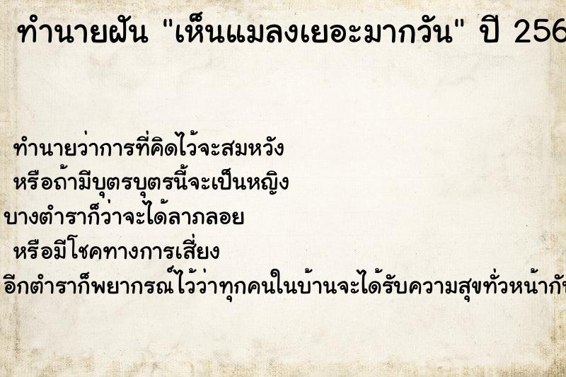ทำนายฝัน เห็นแมลงเยอะมากวัน