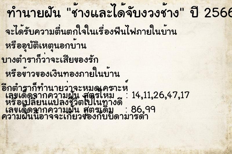 ทำนายฝัน ช้างและได้จับงวงช้าง ทำนายฝัน ช้างและได้จับงวงช้าง