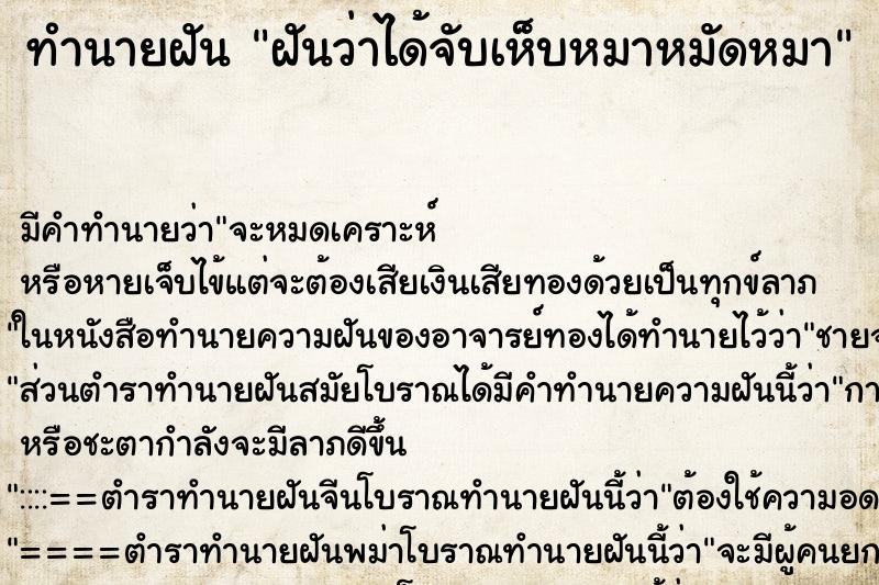 ทำนายฝัน ฝันว่าได้จับเห็บหมาหมัดหมา ทำนายฝัน ฝันว่าได้จับเห็บหมาหมัดหมา