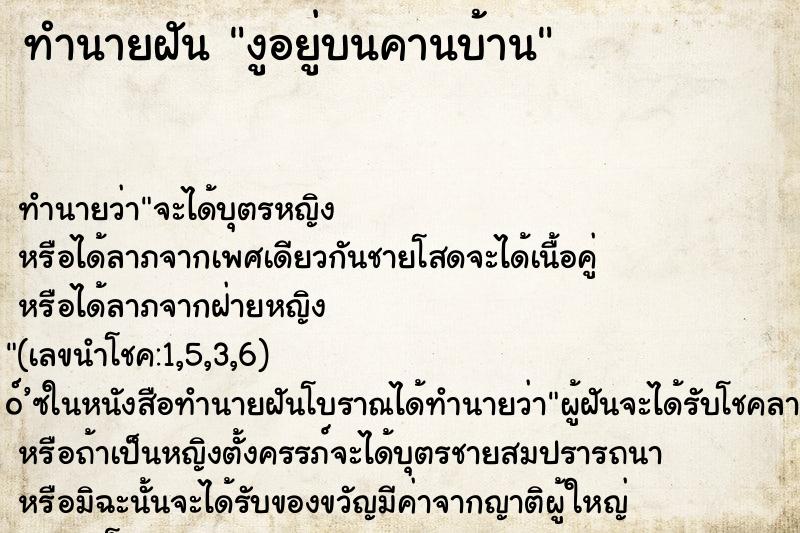 ทำนายฝัน งูอยู่บนคานบ้าน