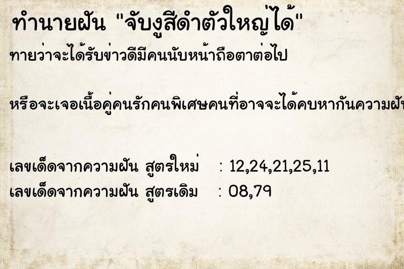 ทำนายฝันจับงูสีดำตัวใหญ่ได้ ทำนายฝันทำนายฝันจับงูสีดำตัวใหญ่ได้