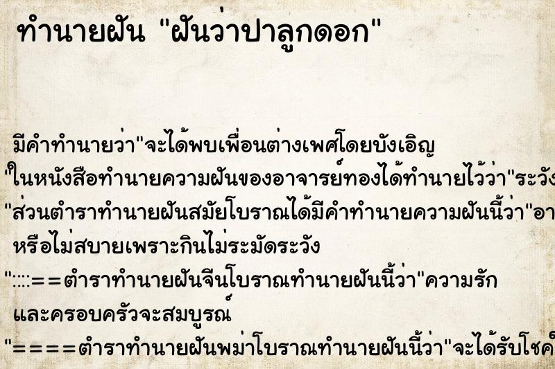 ทำนายฝัน ฝันว่าปาลูกดอก ทำนายฝัน ฝันว่าปาลูกดอก