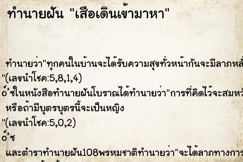 ทำนายฝัน เสือเดินเข้ามาหา ทำนายฝัน เสือเดินเข้ามาหา