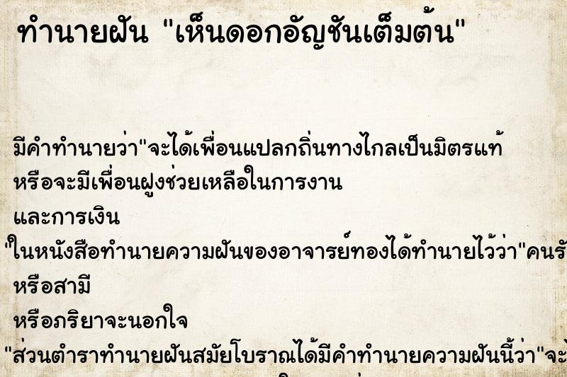 ทำนายฝัน เห็นดอกอัญชันเต็มต้น ตำราโบราณ แม่นที่สุดในโลก