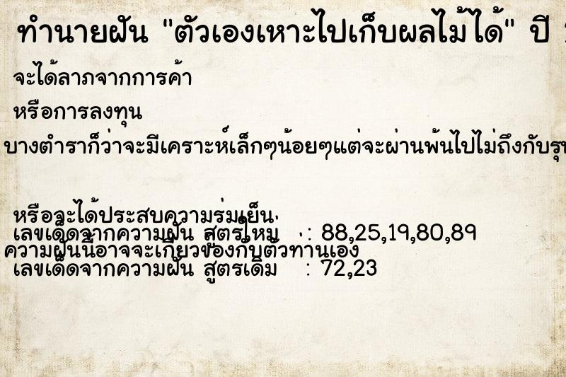ทำนายฝัน ตัวเองเหาะไปเก็บผลไม้ได้ ทำนายฝัน ตัวเองเหาะไปเก็บผลไม้ได้
