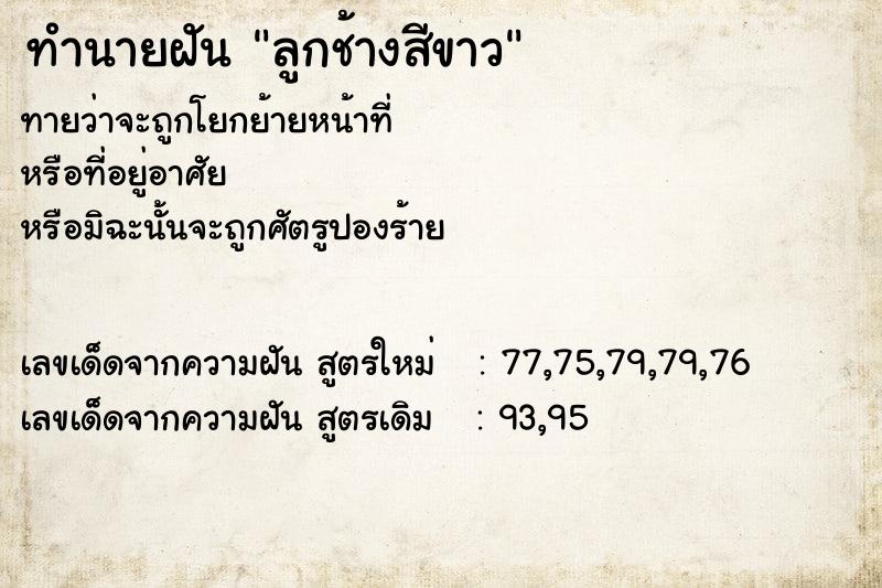 ทำนายฝัน ลูกช้างสีขาว ทำนายฝัน ลูกช้างสีขาว