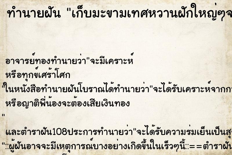 ทำนายฝัน เก็บมะขามเทศหวานฝักใหญ่ๆจากต้นกินหลายฝัก