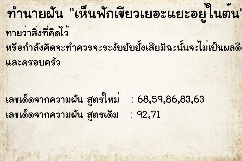 ทำนายฝันเห็นฟักเขียวเยอะแยะอยู่ในต้น ทำนายฝันทำนายฝันเห็นฟักเขียวเยอะแยะอยู่ในต้น
