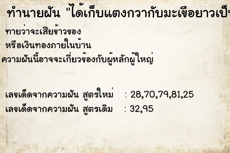 ทำนายฝันได้เก็บแตงกวากับมะเขือยาวเป็นหอบหลายลูก ทำนายฝันทำนายฝันได้เก็บแตงกวากับมะเขือยาวเป็นหอบหลายลูก