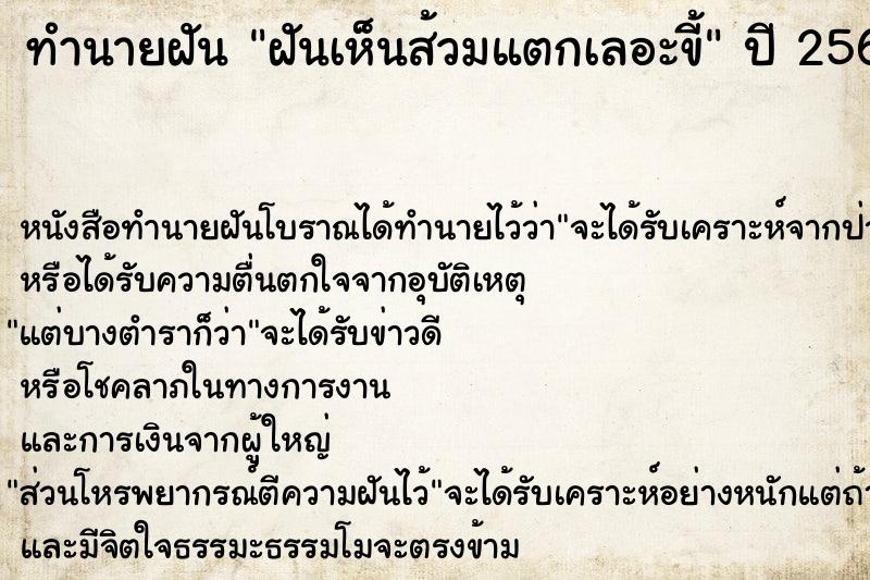 ทำนายฝันทำนายฝันฝันเห็นส้วมแตกเลอะขี้