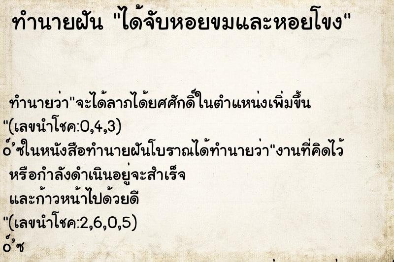 ทำนายฝันได้จับหอยขมและหอยโขง ทำนายฝันทำนายฝันได้จับหอยขมและหอยโขง