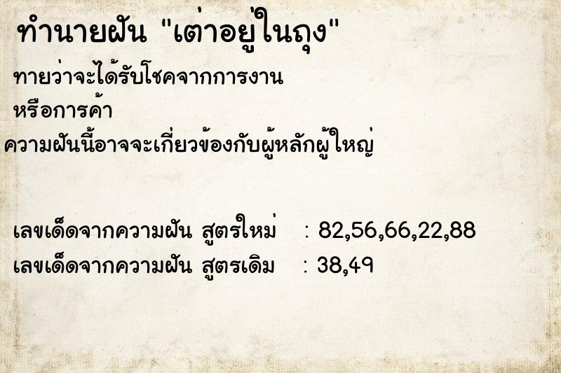 ทำนายฝัน เต่าอยู่ในถุง ทำนายฝัน เต่าอยู่ในถุง