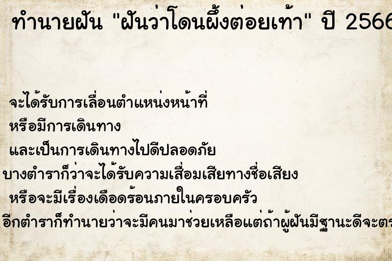 ทำนายฝัน ฝันว่าโดนผึ้งต่อยเท้า ตำราโบราณ แม่นที่สุดในโลก