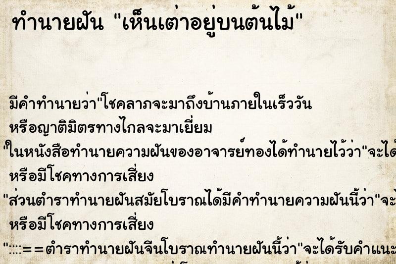 ทำนายฝัน เห็นเต่าอยู่บนต้นไม้ ตำราโบราณ แม่นที่สุดในโลก