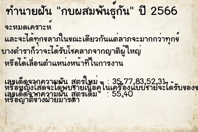 ทำนายฝันกบผสมพันธุ์กัน ทำนายฝันทำนายฝันกบผสมพันธุ์กัน