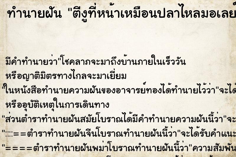 ทำนายฝันตีงูที่หน้าเหมือนปลาไหลมอเลย์ ทำนายฝันทำนายฝันตีงูที่หน้าเหมือนปลาไหลมอเลย์