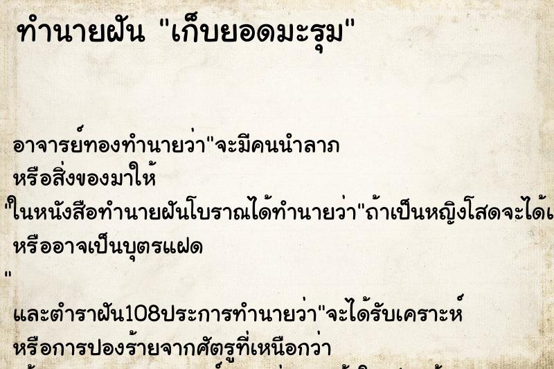 ทำนายฝัน เก็บยอดมะรุม