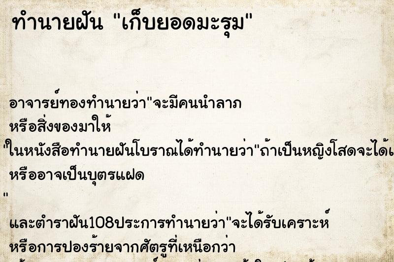 ทำนายฝัน เก็บยอดมะรุม ตำราโบราณ แม่นที่สุดในโลก